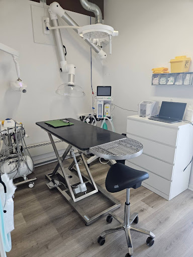 Dyreklinikken Syd in Rødekro, Aabenraa
