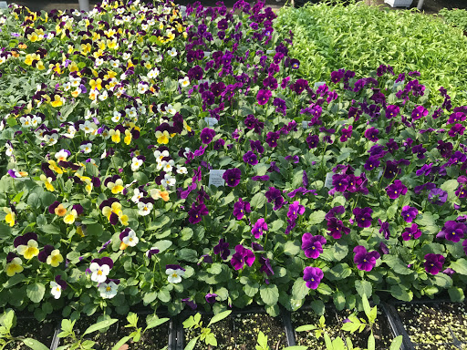 Garden Center «Lake Anna Nursery», reviews and photos, 71 Oak Grove Dr, Mineral, VA 23117, USA