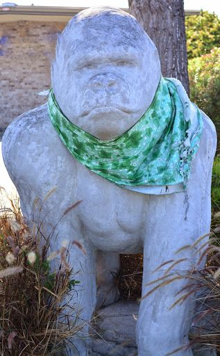 Animal Hospital «Animal Medical Corpus Christi», reviews and photos, 6822 Everhart Rd, Corpus Christi, TX 78413, USA