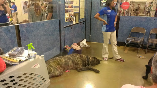 PetSmart