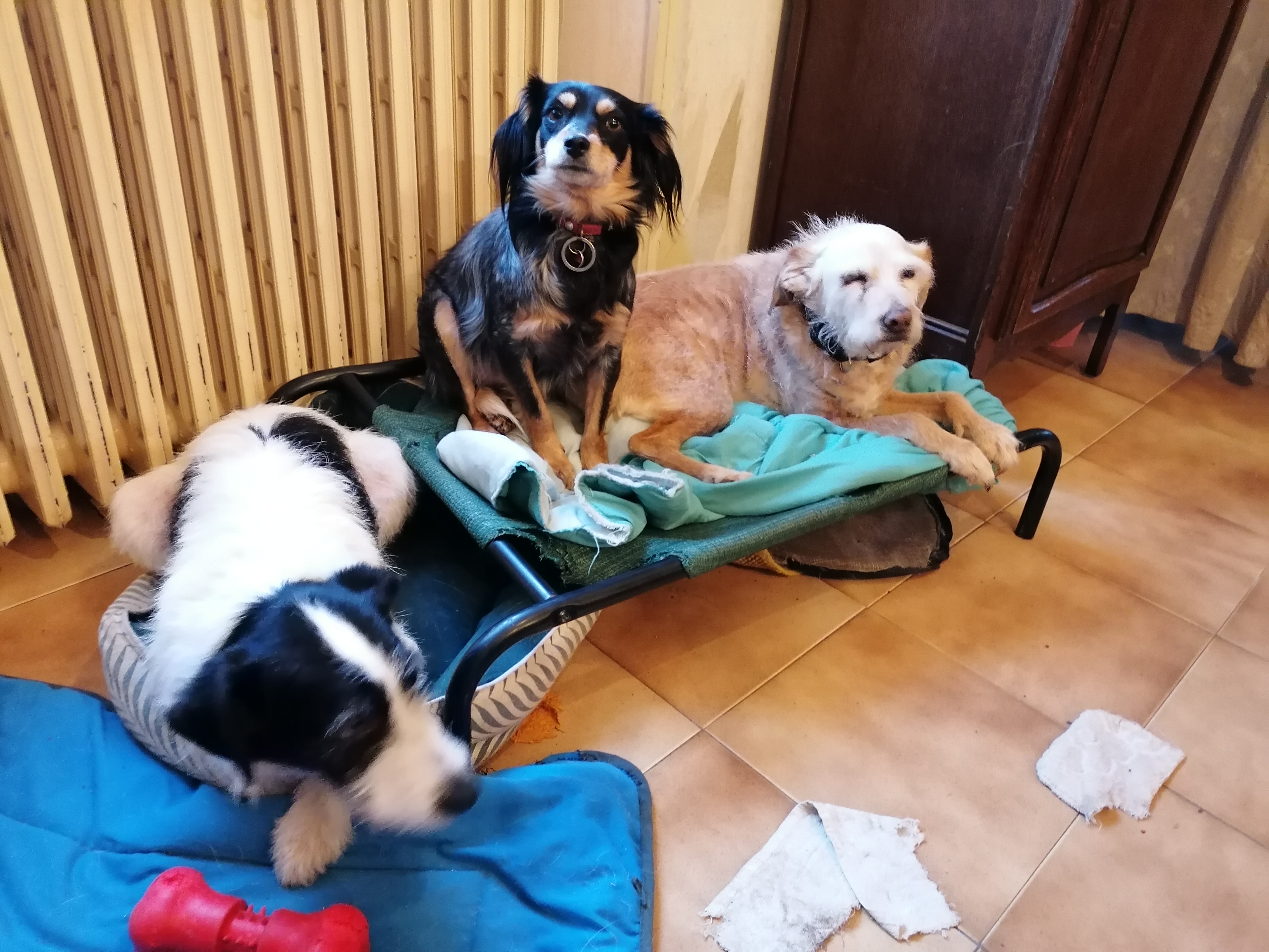 Photo n° 1 de l'avis de Jacques.r fait le 03/02/2024 à 17:02