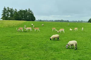 Tatton Park, Knutsford entrance image