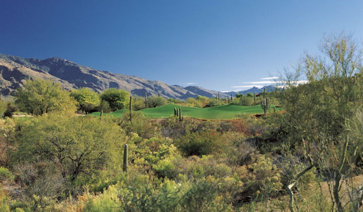 Golf Course «La Paloma Country Club», reviews and photos, 3660 E Sunrise Dr, Tucson, AZ 85718, USA