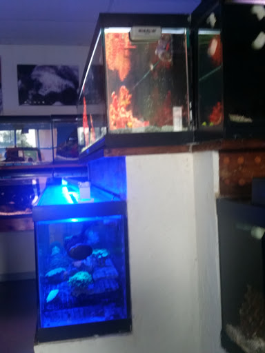 Aquarium Shop «Reef Encounter-Bergen County», reviews and photos, 504 Hudson St, Hackensack, NJ 07601, USA