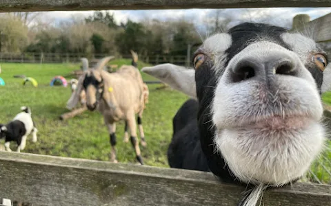 Deen City Farm image