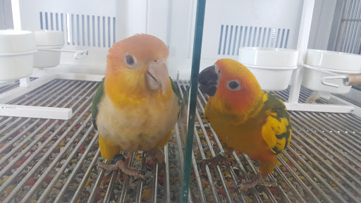 Pet Supply Store «Petco Animal Supplies», reviews and photos, 4491 Kirkwood Hwy, Wilmington, DE 19808, USA