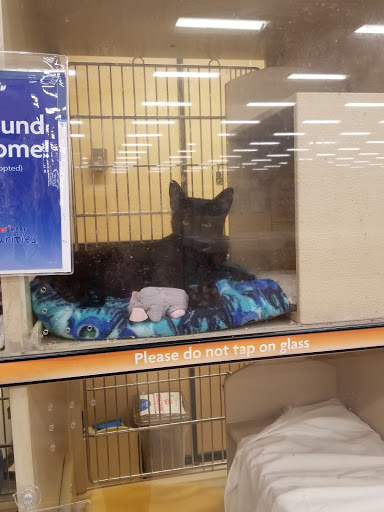 Pet Supply Store «PetSmart», reviews and photos, 6251 N Davis Hwy, Pensacola, FL 32504, USA