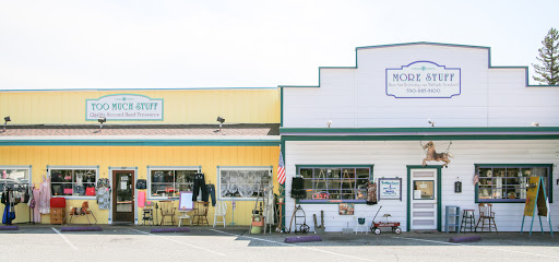 Too Much Stuff Quality Second Hand Treasures, 1151 Grass Valley Hwy, Auburn, CA 95603, USA, 