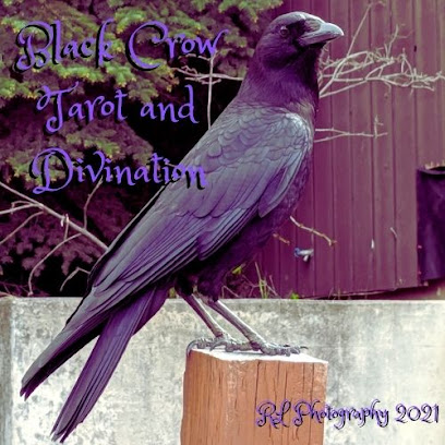 Black Crow Tarot and Divination