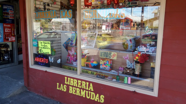 Opiniones de Comercial Las Bermudas Patagonicas Limitada en Puerto Varas - Supermercado