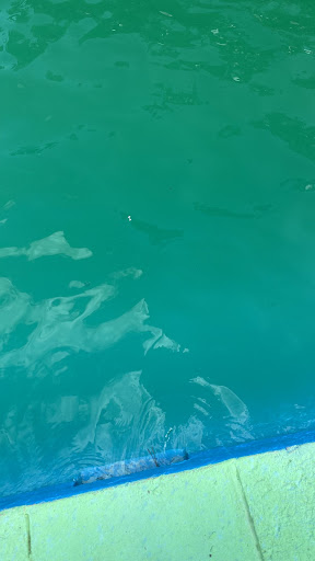 Night Club «Mojitos Country Club», reviews and photos, 44 Mazzeo Dr, Randolph, MA 02368, USA