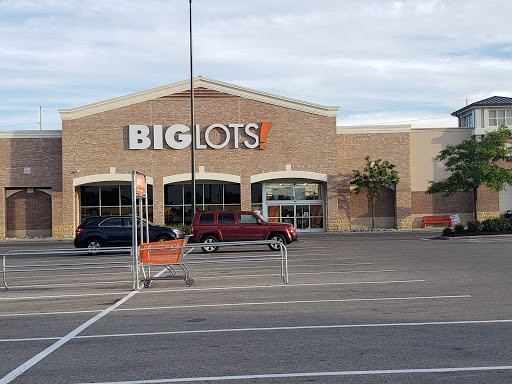 Big Lots, 1245 Polaris Pkwy, Columbus, OH 43240, USA, 