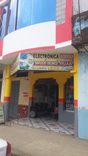 Electronica Vallejo