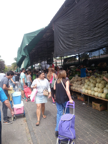 Comentarios y opiniones de Feria Libre Ortuzar (Domingo)