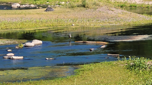 Park «Coon Rapids Dam Regional Park», reviews and photos, 9750 Egret Blvd NW, Coon Rapids, MN 55433, USA