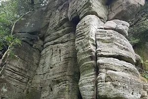 Eridge Rocks Nature Reserve image