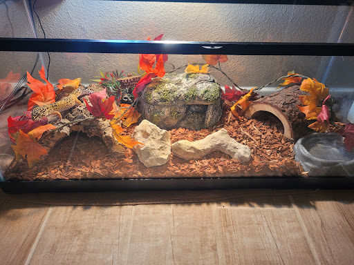 Pet Supply Store «Pet Supplies Plus», reviews and photos, 12407 MoPac Expy 525 - B, Austin, TX 78758, USA