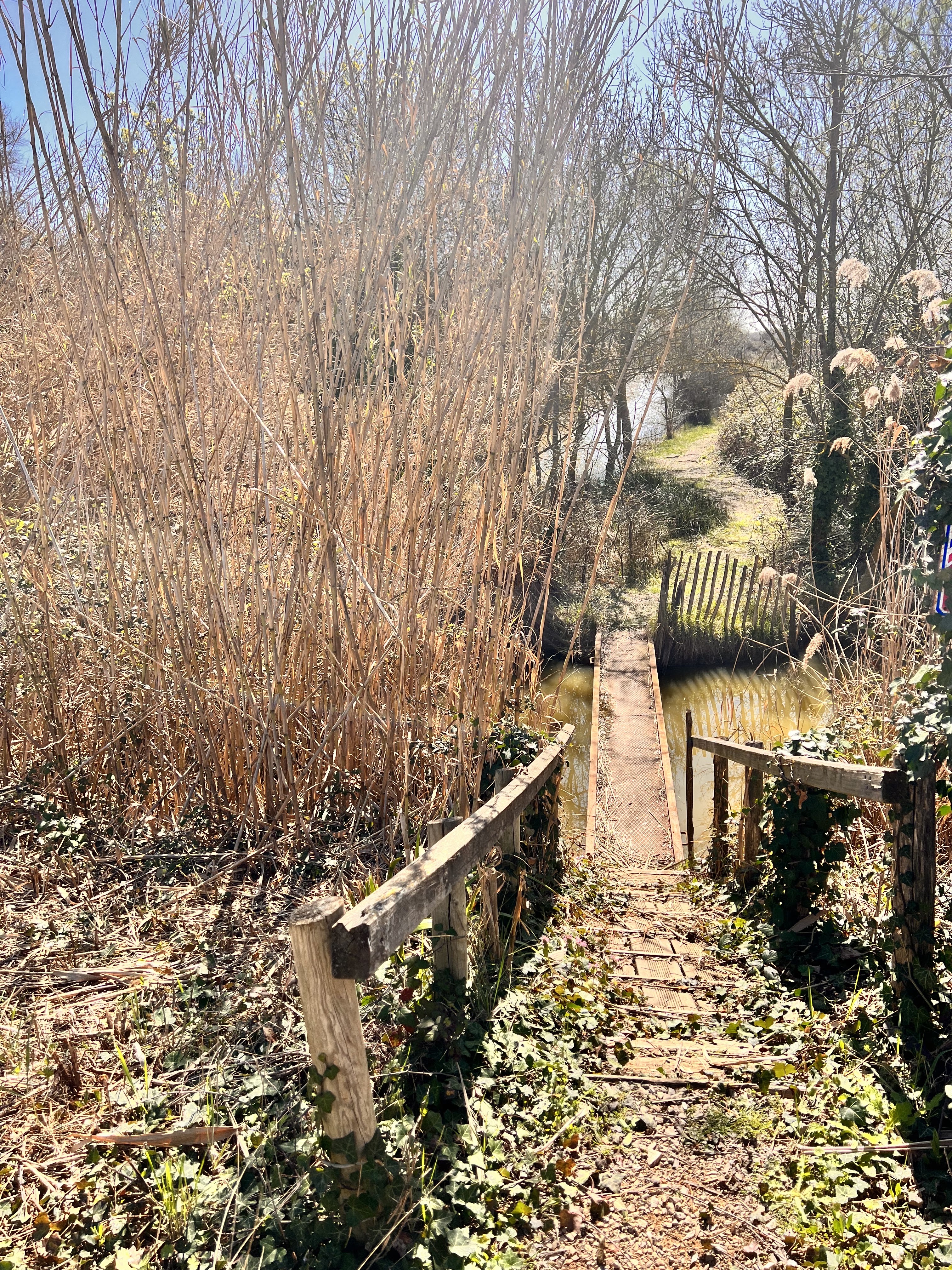 Photo n° 10 de l'avis de saloua.A fait le 16/03/2023 à 14:24