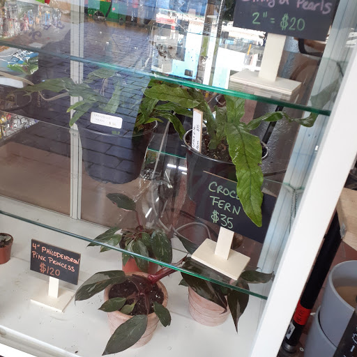 Hardware Store «Hardware 2.0», reviews and photos, 860 Atlantic Ave, Brooklyn, NY 11238, USA