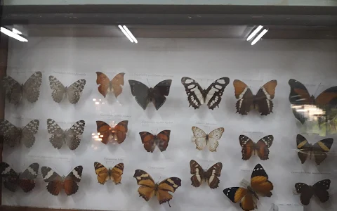 Noel Kempff Mercado Natural History Museum image