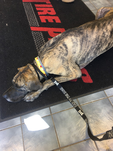 Tire Shop «R & T Tire Pros», reviews and photos, 17016 Clover Rd, Noblesville, IN 46060, USA