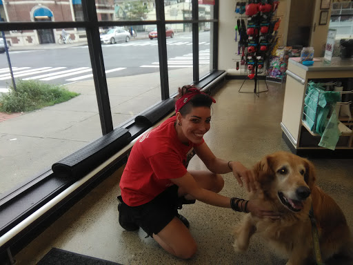 Pet Supply Store «Pet Supplies Plus», reviews and photos, 531 Monroe Ave, Rochester, NY 14607, USA