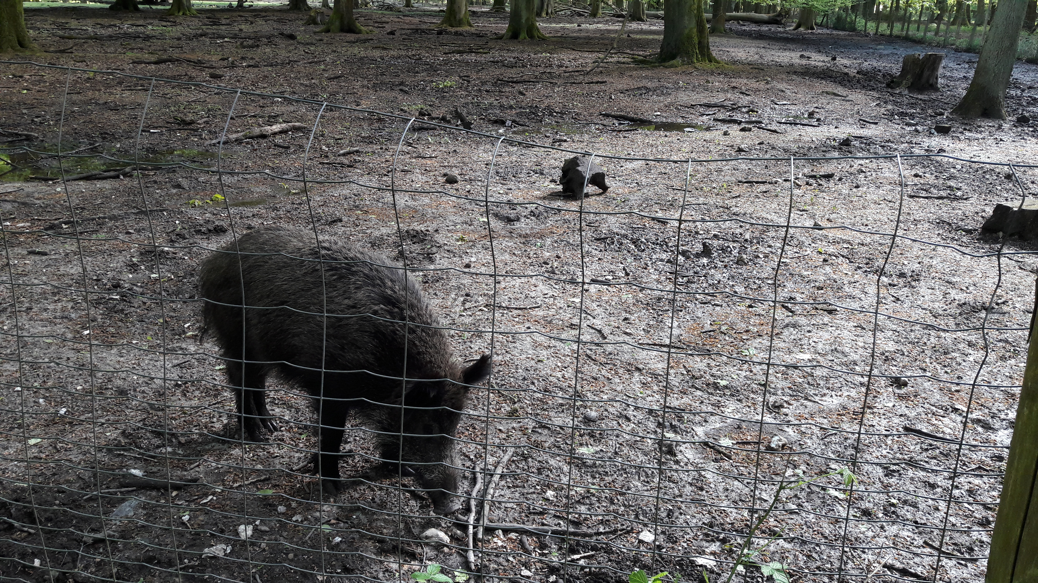 Photo n° 5 de l'avis de Lulu.o fait le 05/05/2018 à 16:53