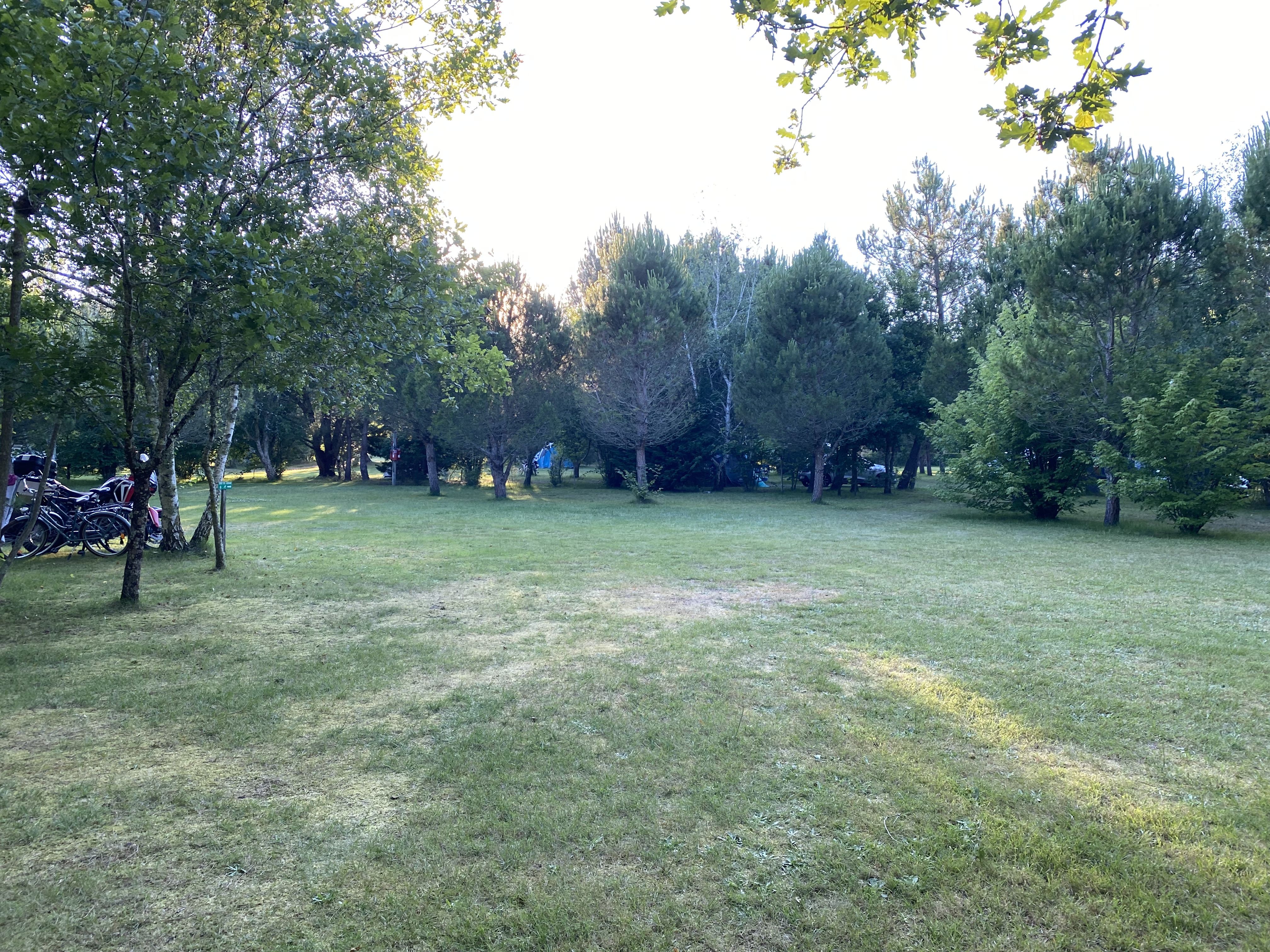 Photo n° 1 de l'avis de legras.e fait le 17/07/2021 à 19:17