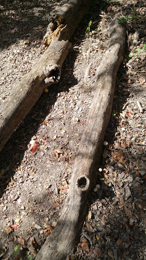 Recreation Center «Joe Farmer Recreation Center», reviews and photos, 1201 E Bethany Dr, Allen, TX 75002, USA