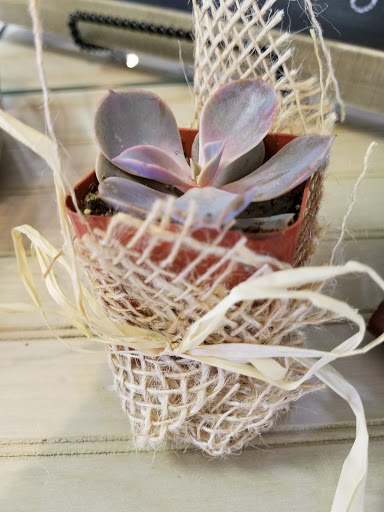 Florist «Happiness is... The Little Flower Shop», reviews and photos, 39277 Grand River Ave, Farmington Hills, MI 48335, USA