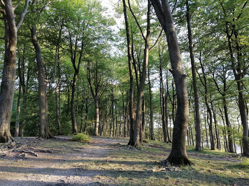 Sundon Hills Country Park