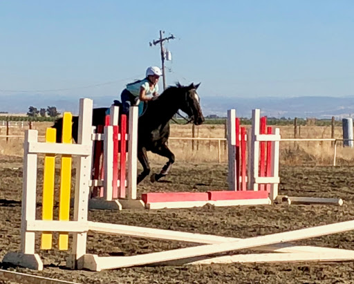Gold Country Equestrian Center