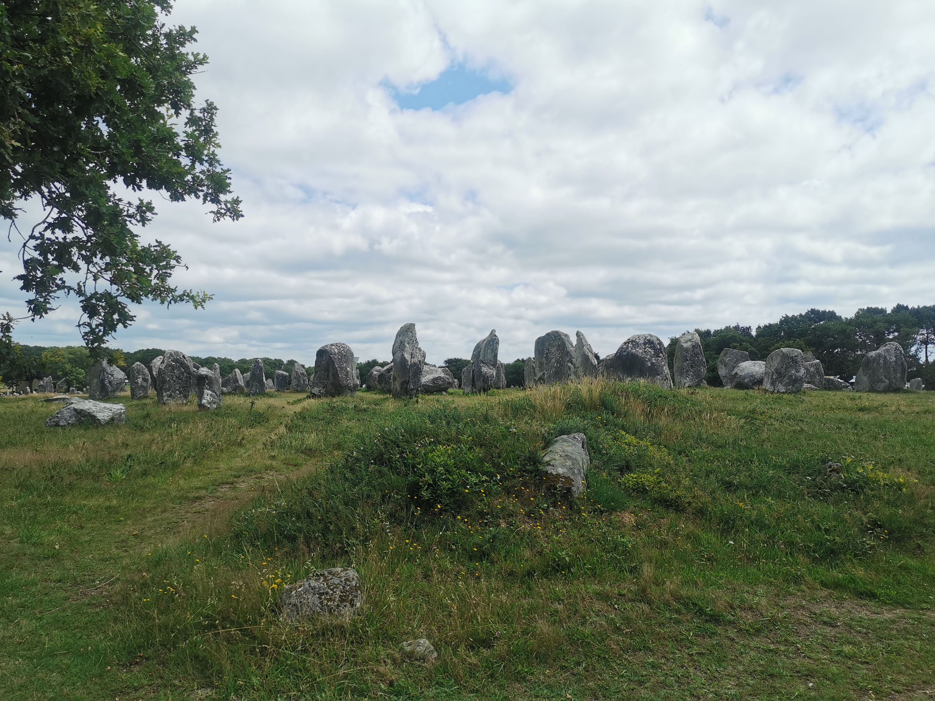 Photo n° 1 de l'avis de Morgane.s fait le 14/07/2021 à 22:45
