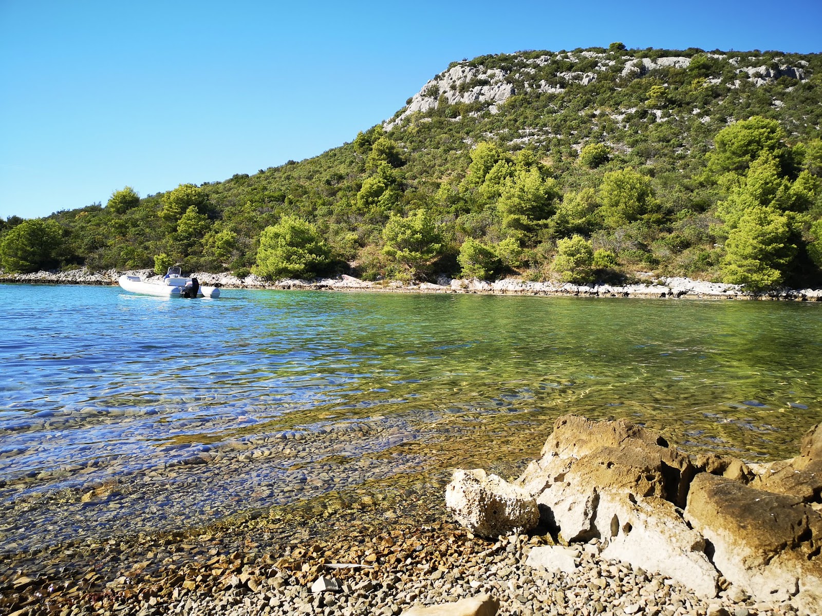 Photo de Jelenica beach zone sauvage
