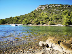 Jelenica beach'in fotoğrafı vahşi alan