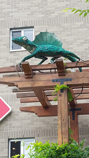 Outdoor Sports Store «Old Goat Gear Exchange», reviews and photos, 320 E State St, Ithaca, NY 14850, USA