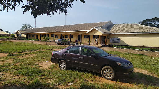 Anambra State University, Igbariam Campus, Nigeria, College, state Anambra