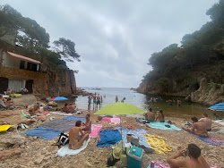 Photo de Cala d'Aigua Xelida zone sauvage