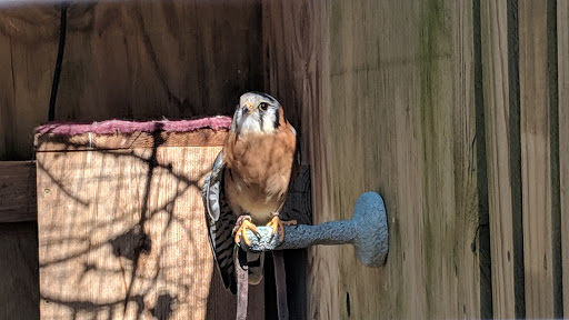 Nature Preserve «Iowa Raptor Center», reviews and photos, 2095 Mehaffey Bridge Rd NE, Solon, IA 52333, USA