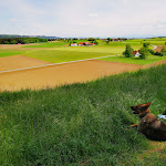 Photo n°3 de l'avis de Wilhelm.r fait le 12/05/2024 à 19:46 sur le  Waldcafé Bad Grönenbach à Bad Grönenbach
