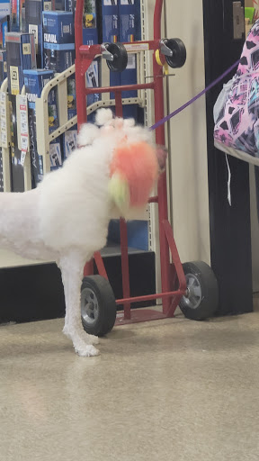 Pet Supply Store «PetSmart», reviews and photos, 1112 Town Square Rd, Pottstown, PA 19465, USA