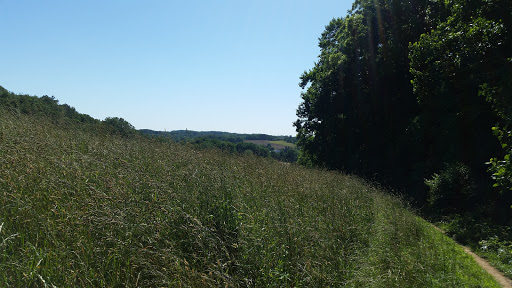 National Park «First State National Historical Park - Peters Rock Parking», reviews and photos, Thompsons Bridge Rd, Wilmington, DE 19803, USA