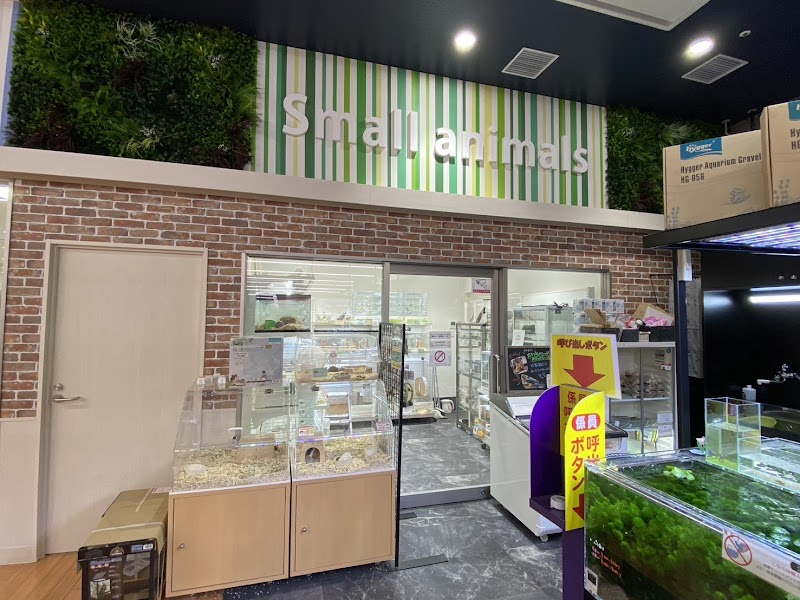 ディスワン新横浜店