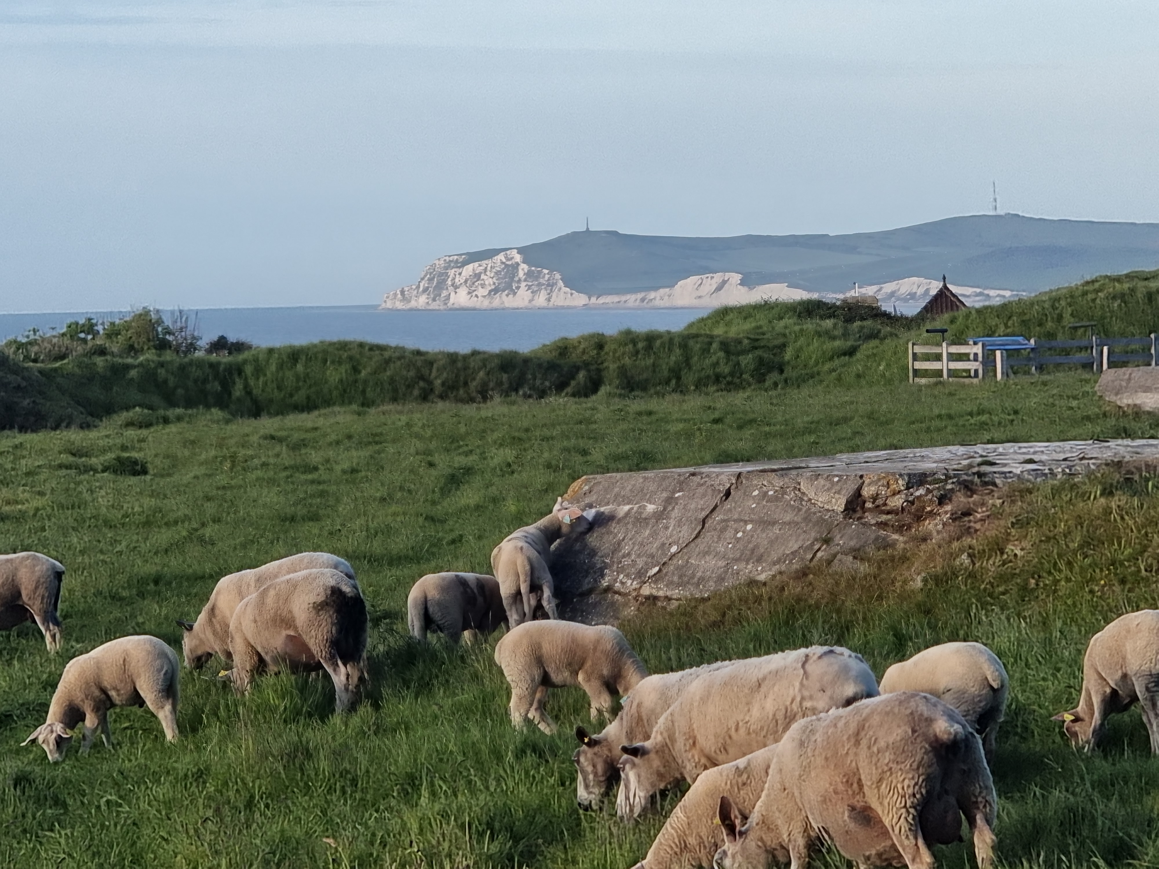 Photo n° 11 de l'avis de Valerie.h fait le 23/05/2022 à 19:05