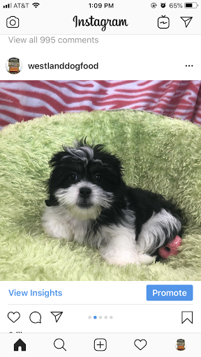 Pet Supply Store «Westland Dog Food Co Inc», reviews and photos, 37687 Ford Rd, Westland, MI 48185, USA