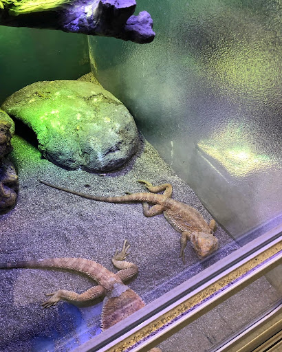 Pet Store «Aqua World Pet Super Center», reviews and photos, 8143 Ohio River Blvd, Pittsburgh, PA 15202, USA