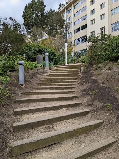 Book Store «USF Bookstore», reviews and photos, 2130 Fulton St, San Francisco, CA 94117, USA