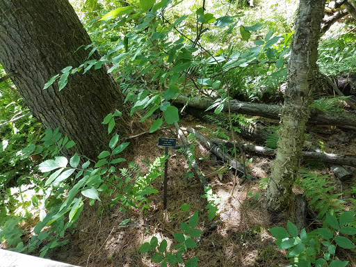 Nature Preserve «Eshqua Bog Natural Area», reviews and photos, Garvin Hill Rd, Woodstock, VT 05091, USA