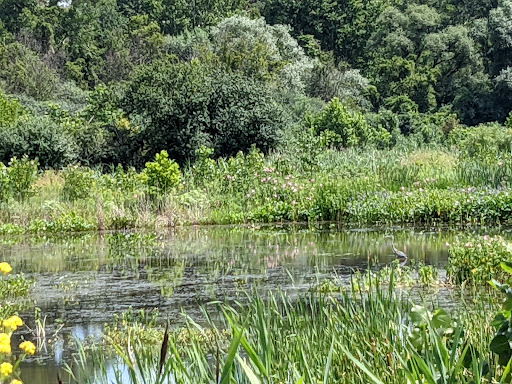 National Reserve «Montezuma National Wildlife Refuge», reviews and photos, 3395 US-20, Seneca Falls, NY 13148, USA