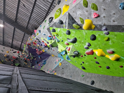 Rock Domain Climbing Gym